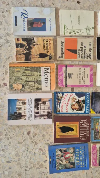 Lote de libros literatura clásica