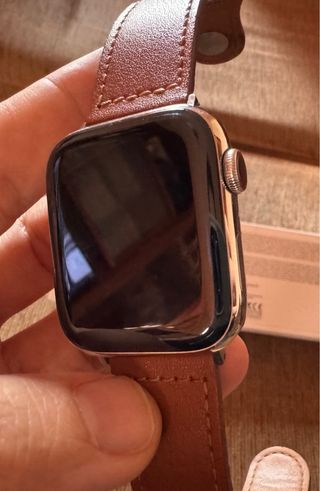 Apple Watch Serie 6 Acciaio, cinturino marrone