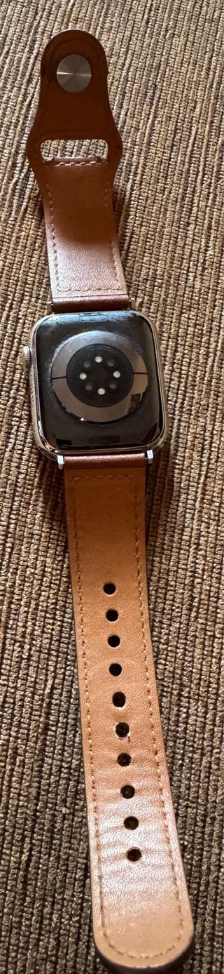 Apple Watch Serie 6 Acciaio, cinturino marrone