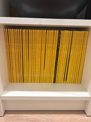 revistas National Geographic