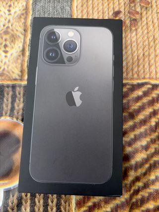 iPhone 13 Pro nero/argento