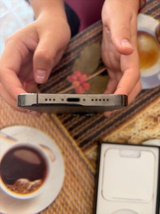 iPhone 13 Pro nero/argento