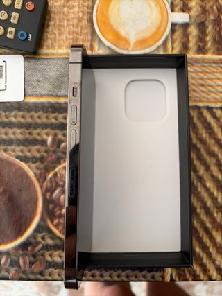 iPhone 13 Pro nero/argento
