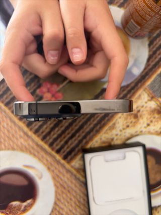 iPhone 13 Pro nero/argento