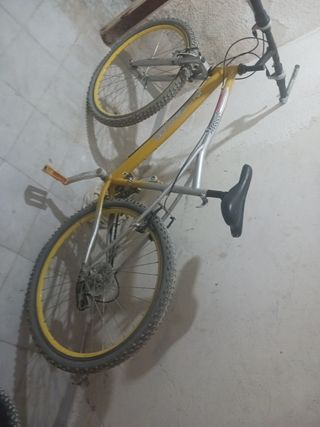 Bicicleta

