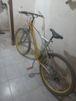 Bicicleta
