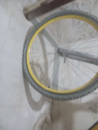 Bicicleta
