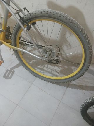 Bicicleta

