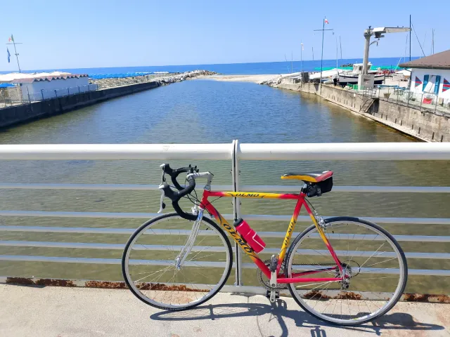 Bici da corsa Olmo rossa e gialla