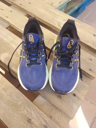 Zapatillas Asics Kayano 31 Talla 42.5