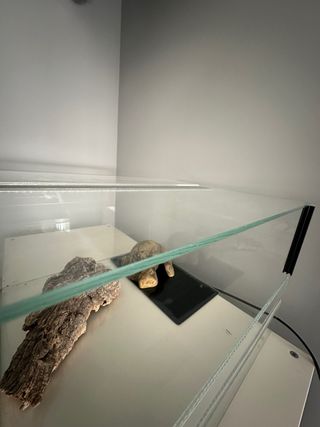 Terrario con accessori