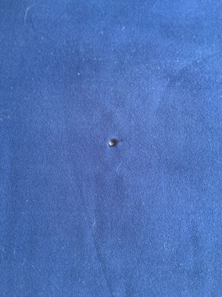 Sofá de 2 plazas azul