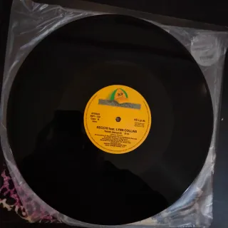 1992 ELECTRONICA Secchi feat. Lynn Collins Vinilo