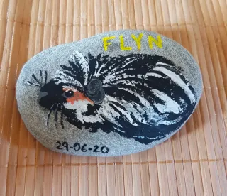 Piedra pintada a mano