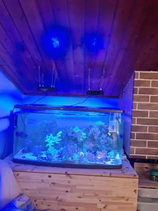 Acuario Marino 240L Equipado