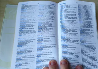 Diccionario Español-Inglés/English-Spanish