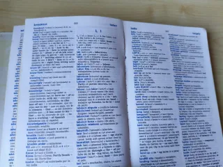 Diccionario Español-Inglés/English-Spanish