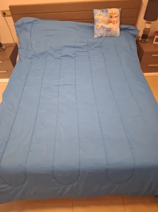 Nórdico Frozen Cama 90 + Cojín