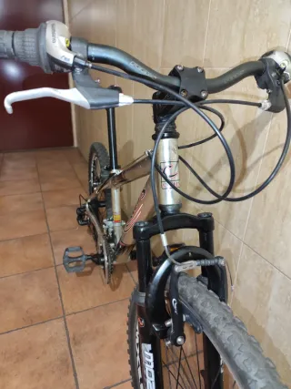 Bicicleta Montaña 24 Plata