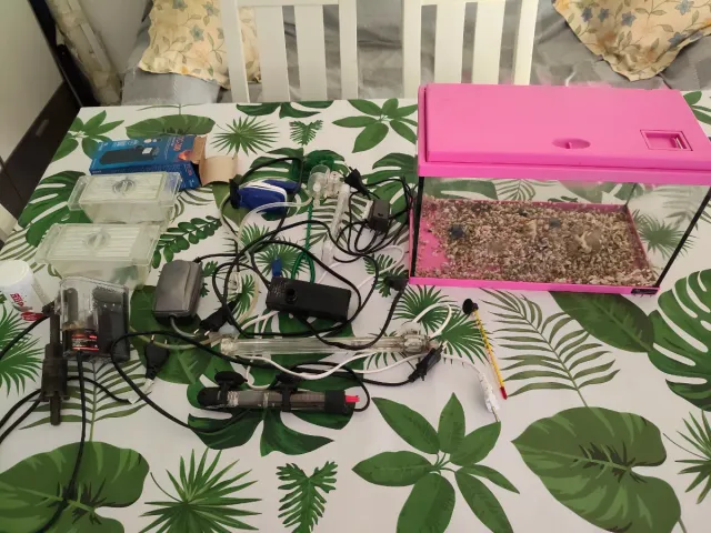 Acuario rosa con accesorios