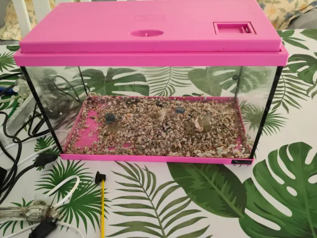Acuario rosa con accesorios
