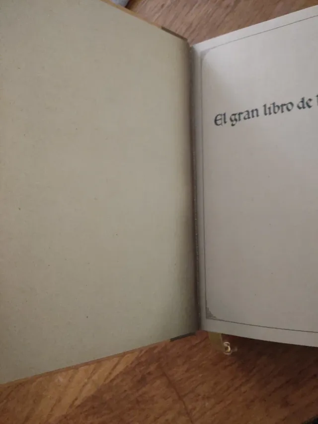 El Gran Libro De Los Enigmas