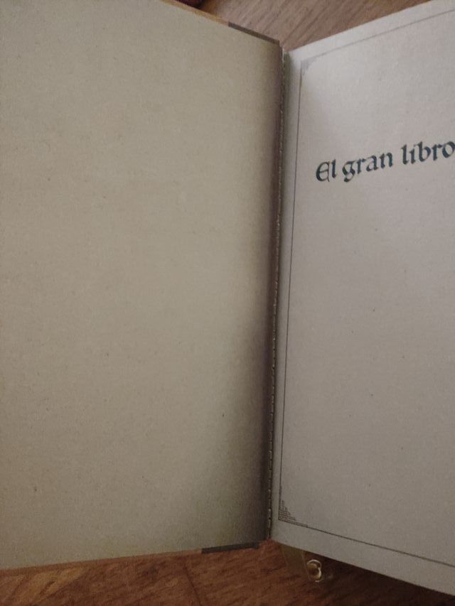 El Gran Libro De Los Enigmas