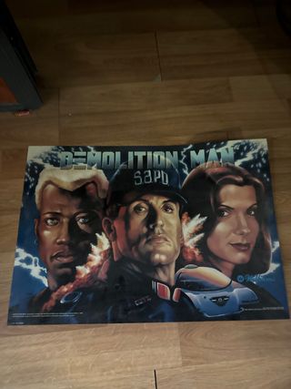 Cuadro Pinball Demolition Man
