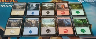MAGIC - TIERRAS BÁSICAS 7 