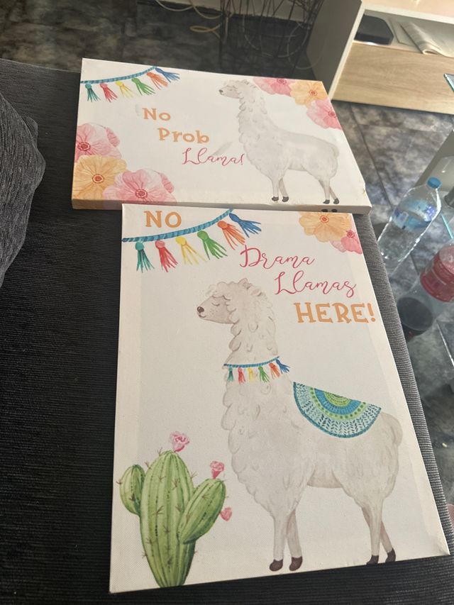 Cuadros Decorativos Llama Cactus