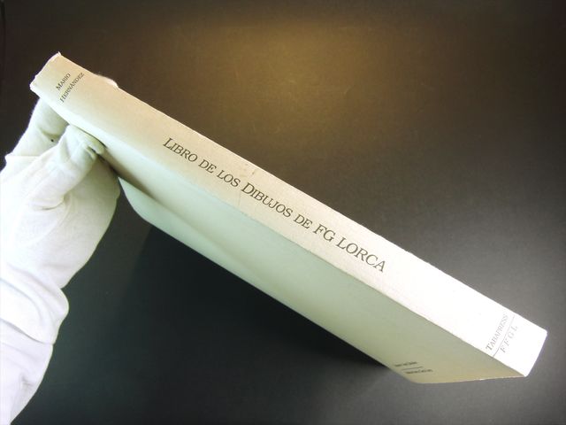 LIBRO de los Dibujos de FEDERICO GARCIA LORCA