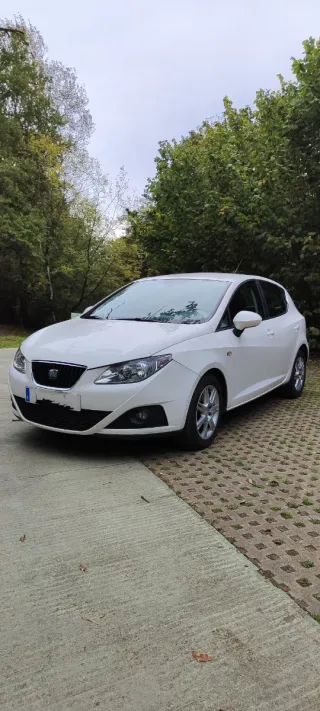 SEAT Ibiza 2010