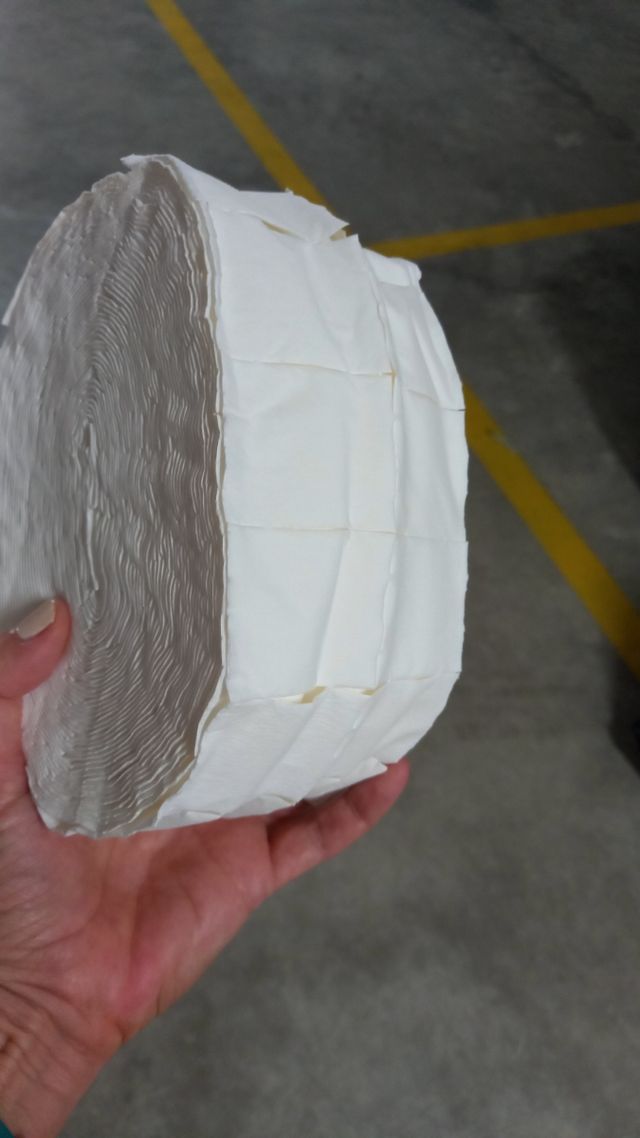 Lote desechables y pulidores pies