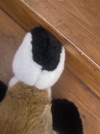 Peluche Pinguino Bianco e Nero