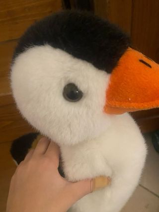 Peluche Pinguino Bianco e Nero