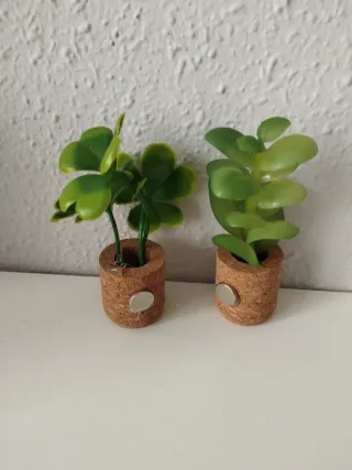 Imanes nevera plantas decorativas