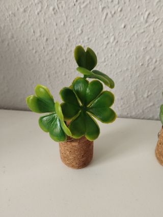 Imanes nevera plantas decorativas