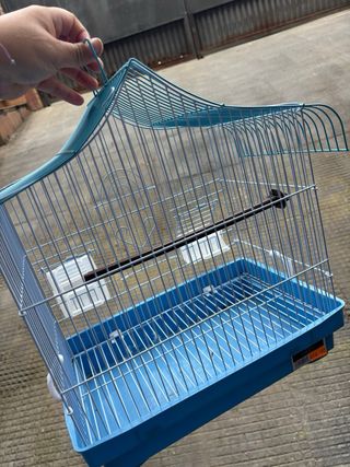 Jaula para pájaros azul