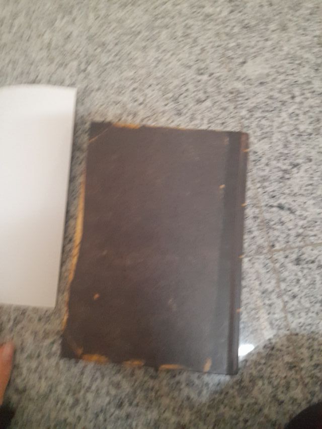 Fairy Oak 1. El secret de les bessones