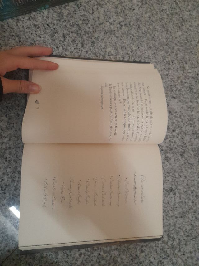 Fairy Oak 1. El secret de les bessones