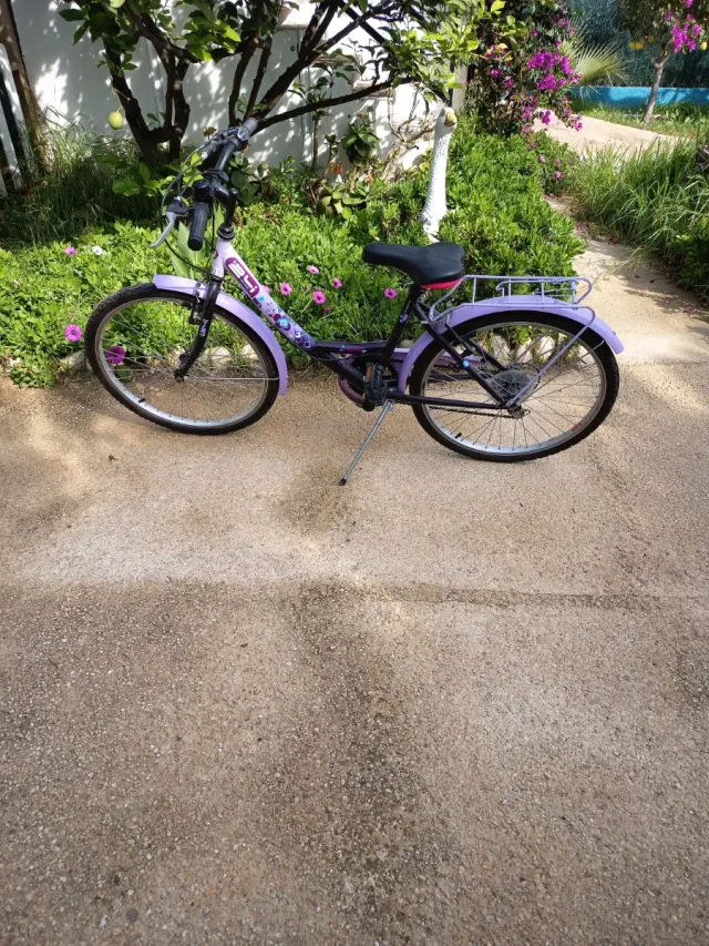 Bicicleta infantil morada
