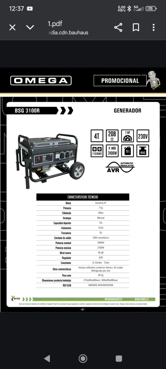 Generador BSG 3100R-E