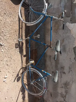 Bicicleta Schauff Doble