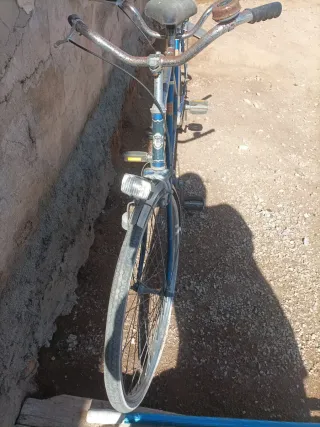 Bicicleta Schauff Doble