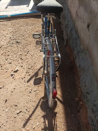 Bicicleta Schauff Doble