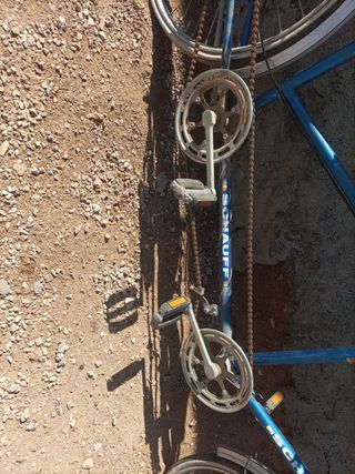 Bicicleta Schauff Doble