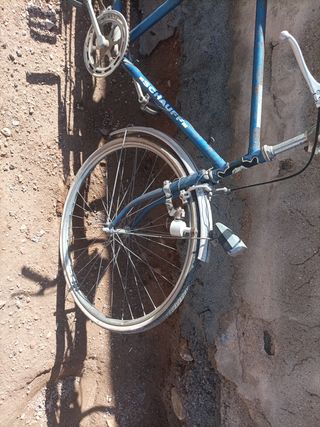 Bicicleta Schauff Doble