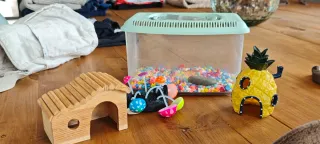 Acquario con accessori per animali domestici.
