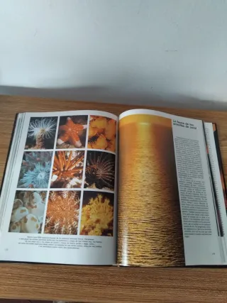 Maravillas de la Naturaleza