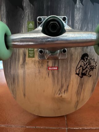 Skate GLOBE